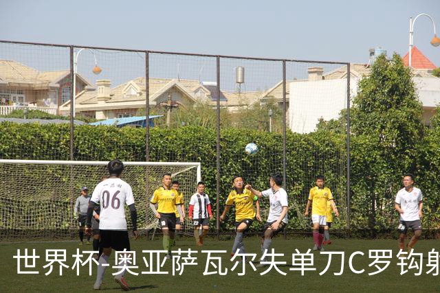 世界杯-奥亚萨瓦尔失单刀C罗钩射被扑 葡西半场暂0-0
